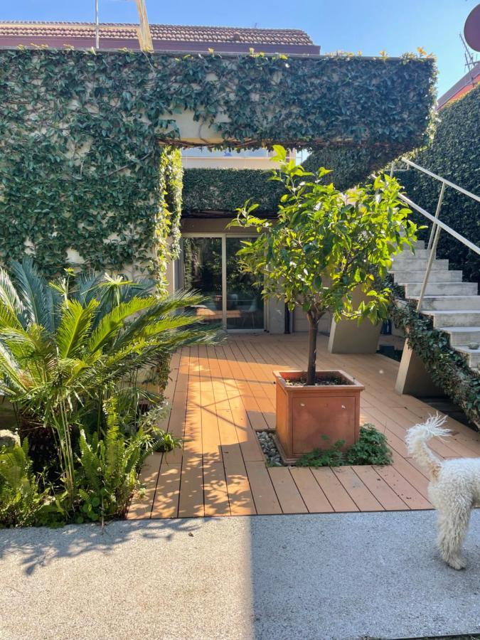 Ferienwohnung Joey Pietrasanta Exterior foto